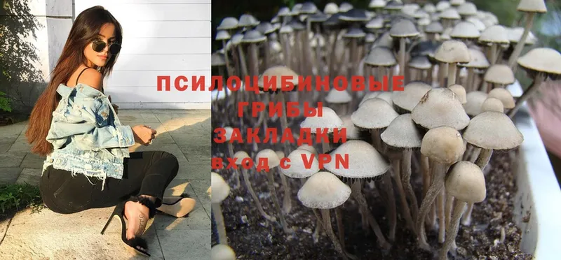 Галлюциногенные грибы Magic Shrooms  цены   Калачинск 